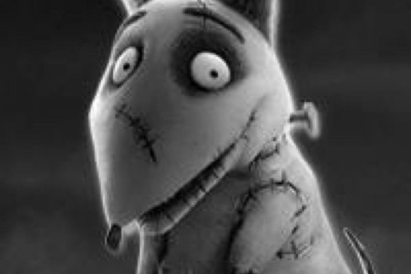 Безопасное использование кракен зайти